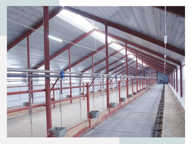 Строительство коровников в Усть-Лабинске от 613 руб.