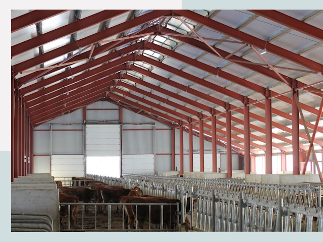 Строительство коровников в Усть-Лабинске