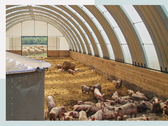 Строительство свинарников в Усть-Лабинске